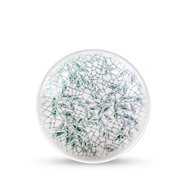 Deep plate wl‑671513/a Wilmax (photo 1)