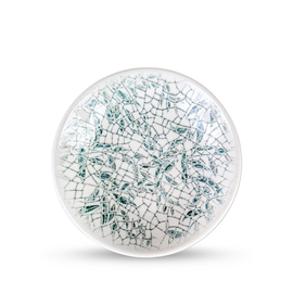 Deep plate wl‑671514/a Wilmax (photo 1)