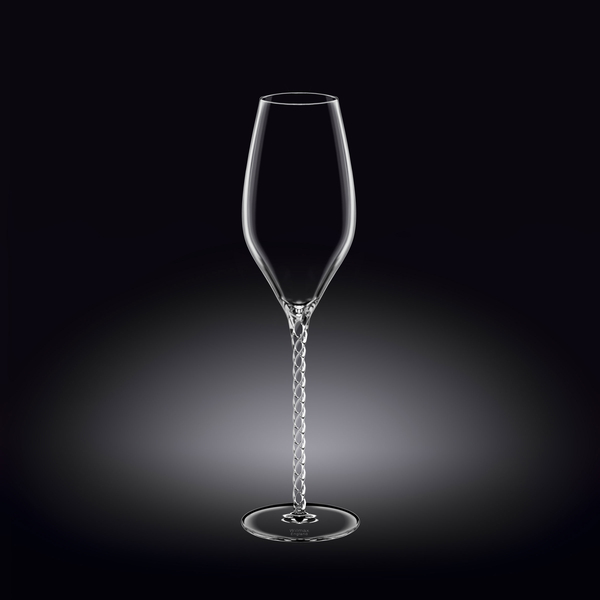 Champagne flute set of 2 in colour box wl‑888104/2с Wilmax (photo 1)