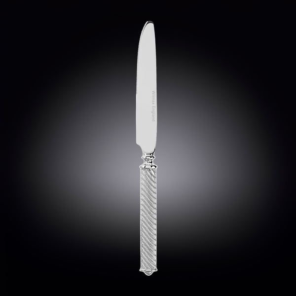 Dinner/table knife on blister pack wl‑999841001/1b Wilmax (photo 1)